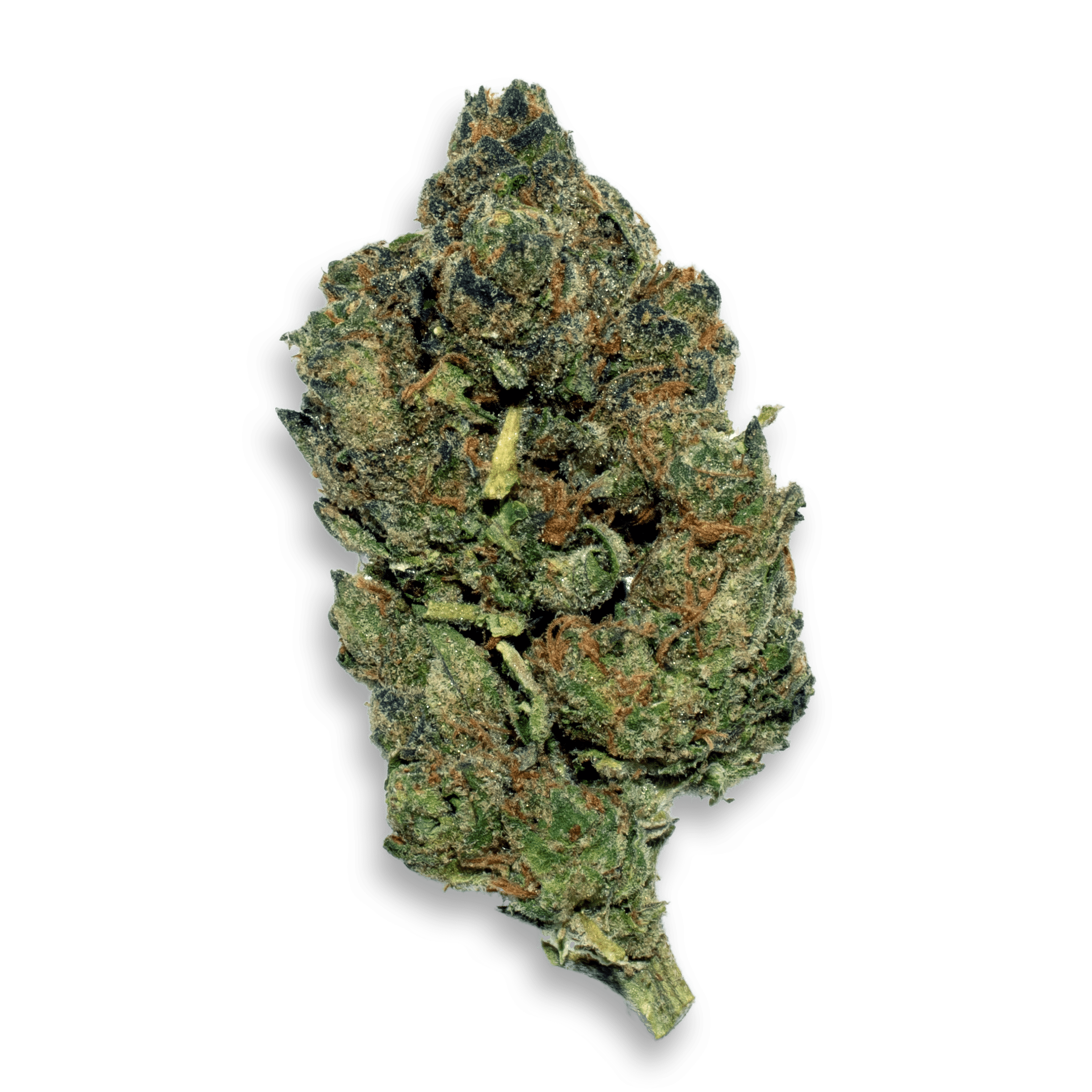 Blue-Nerdz-(Product)-Final-Trans Blue Nerdz - Image 1