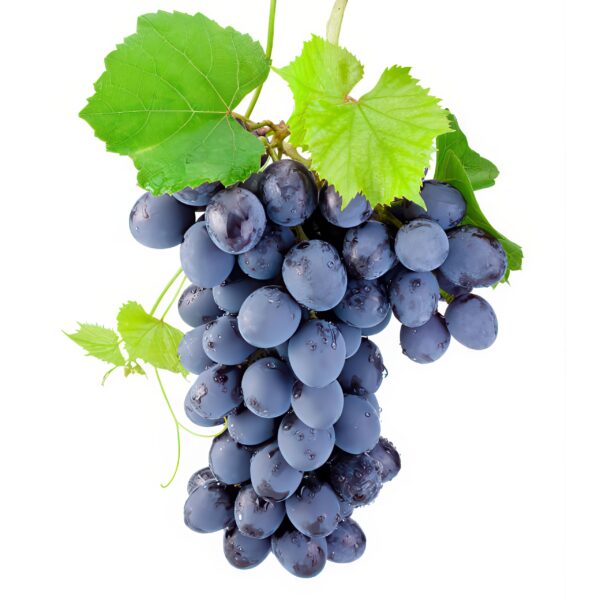 Grape