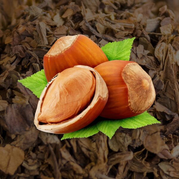 Hazelnut Tobacco