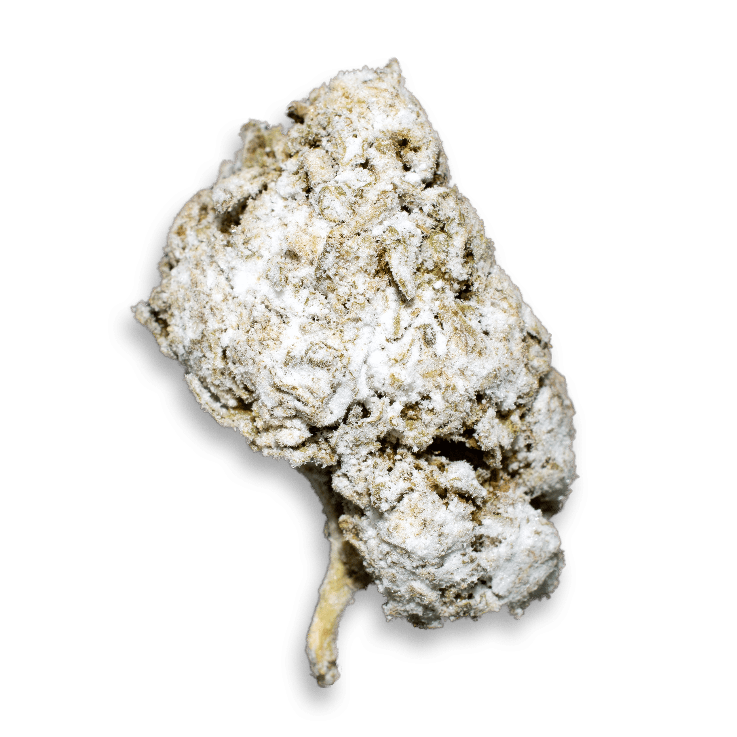 Hurricane-(Product)-Trans Hurricane - Image 1