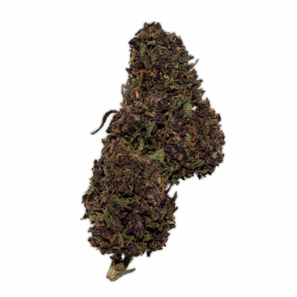 Legendary Platinum OG