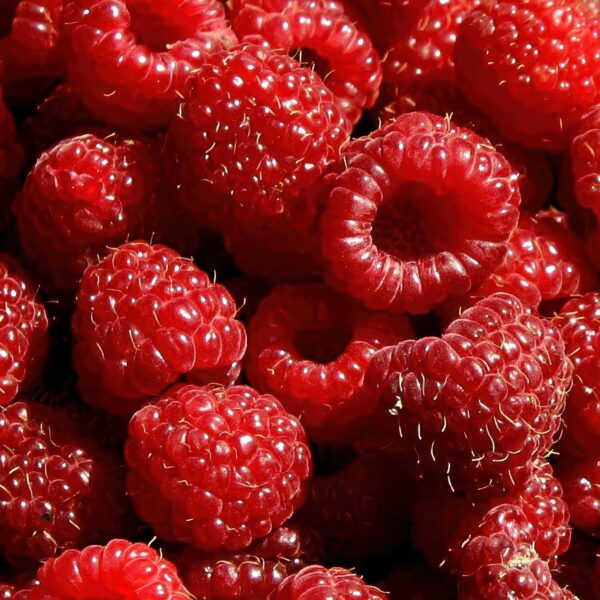 Raspberry