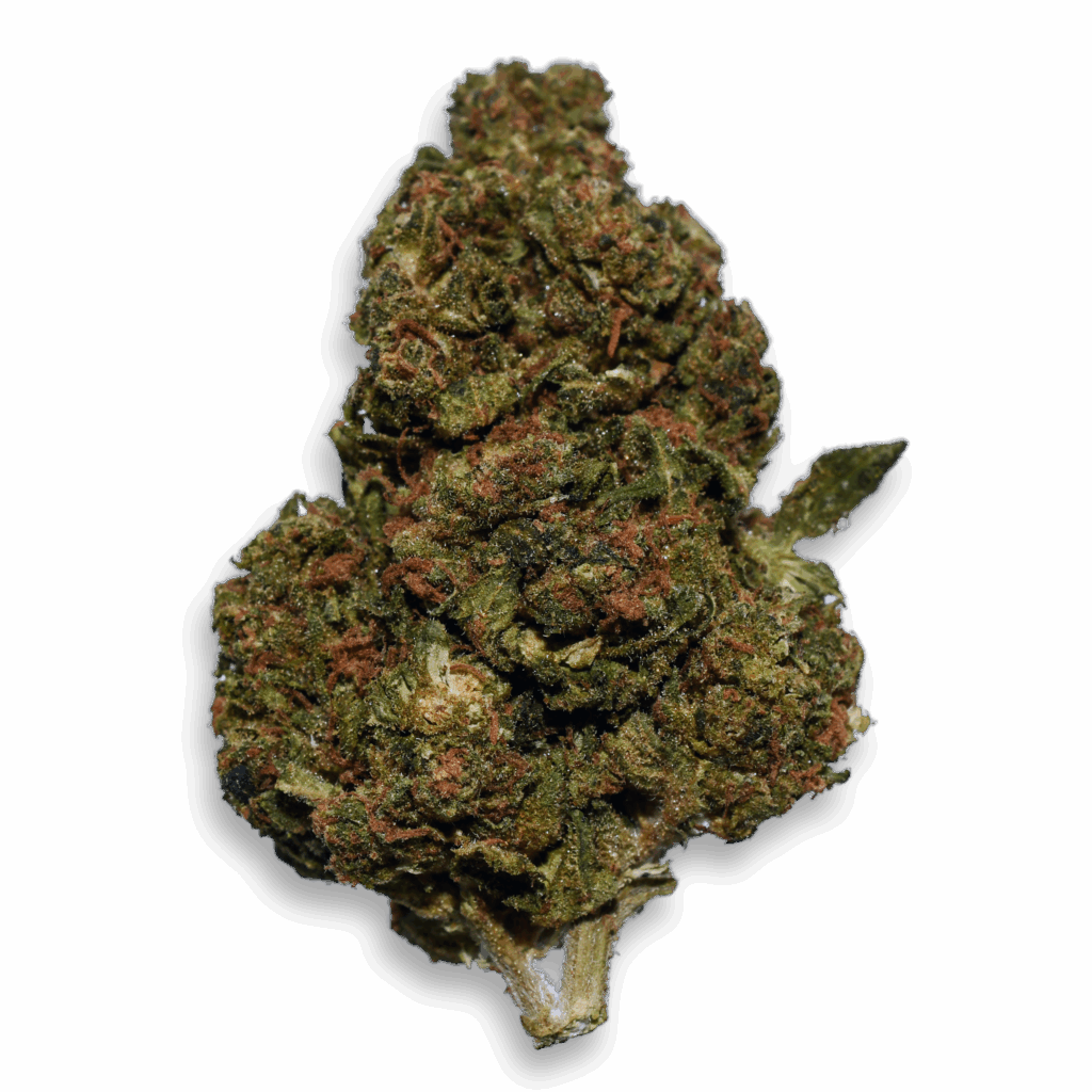 Sunset Sherbet Thca Flower Product Trans - Mountain Vaporz