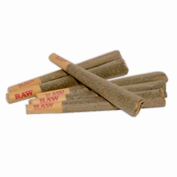 Pre-Rolled Cones